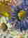 item-130315392=12
