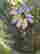 item-130315392=7