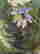 item-130315392=8