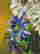 item-130315392=9
