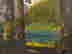 item-130315395=11