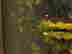 item-130315395=13