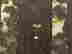 item-130315395=14