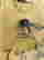 item-130315440=10