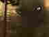 item-130315462=20