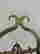 item-130315473=7