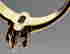 item-130315487=11