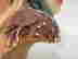 item-130315492=12