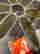 item-130315498=17