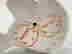 item-130315536=7
