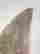 item-130315541=6