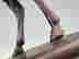 item-130315546=15