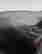item-130315546=18