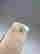 item-130315548=20