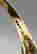 item-130315554=11