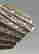 item-130315557=11
