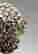 item-130315559=11