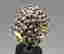 item-130315559=5