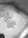 item-133514338=12