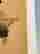 item-133514406=12
