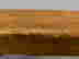 item-133514460=15