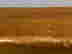 item-133514460=16