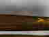 item-133514462=12