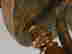 item-133514462=15