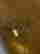 item-133514471=5