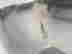 item-133514501=11