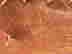 item-133514516=10