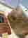 item-133514580=14