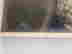 item-133514630=17