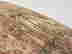 item-133514643=15