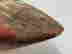 item-133514643=16