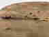 item-133514643=9