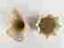 item-133514659=6