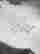 item-136038318=10