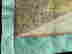 item-136038613=10