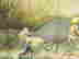 item-136038613=15