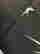 item-136038617=19