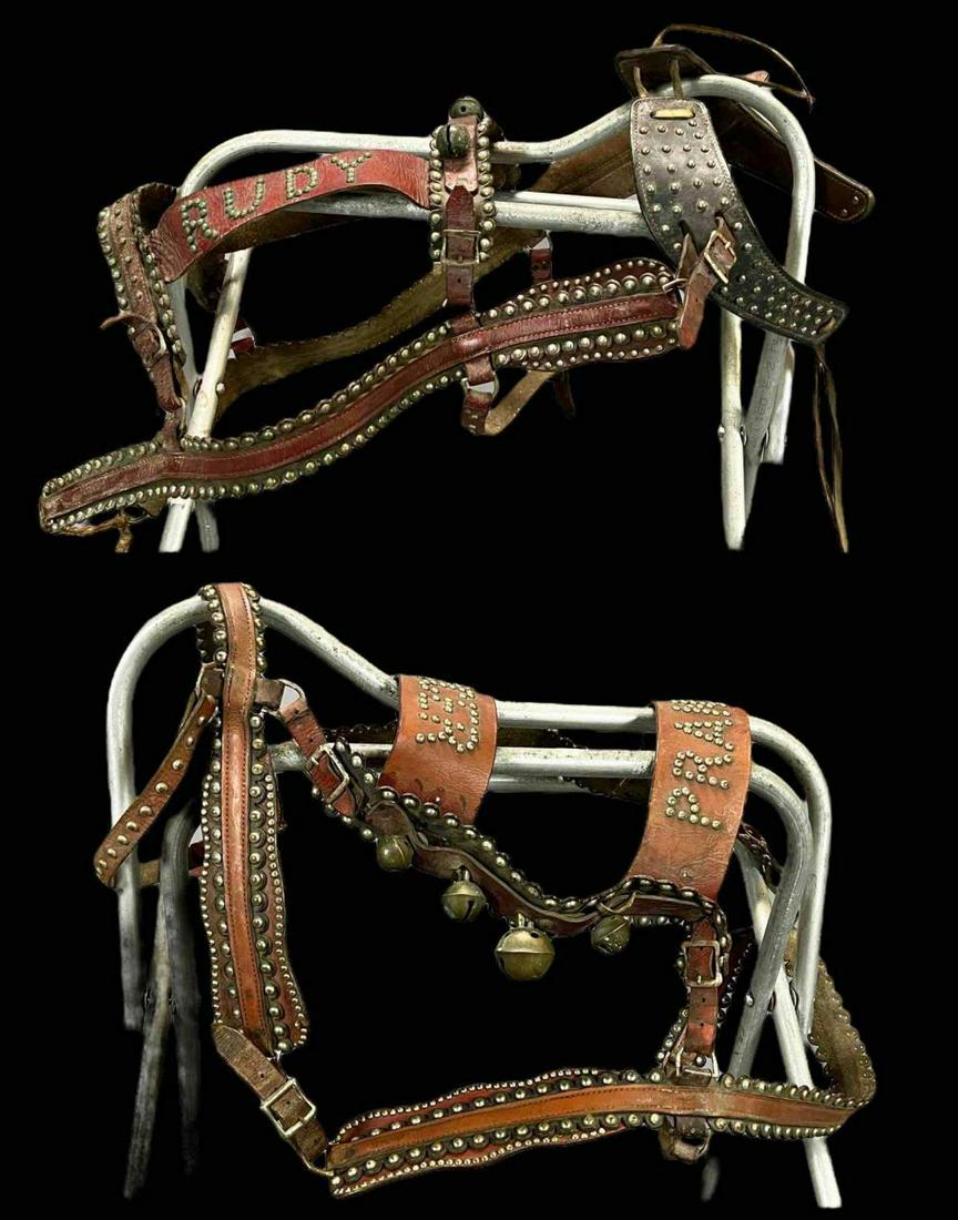 2 Santa Cruz Santa's Village Rudolph & Prancer Reindeer Harnesses (1 of 20)