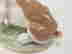item-136038890=15