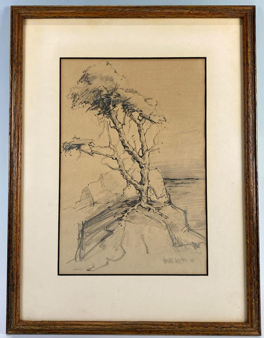 Sea Crags, Harold Warren, Early California Art, Possibly The Lone Cypress, Charcoal on Paper: Sea Crags, Harold Warren, Early California Art, Possibly The Lone Cypress, Charcoal on Paper, signed Harold Warren 1931, site 7.75 x 11.5 inches, frame 13.4375 x 17.75 x 0.75 inches, measurements are 