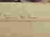 item-137341802=6