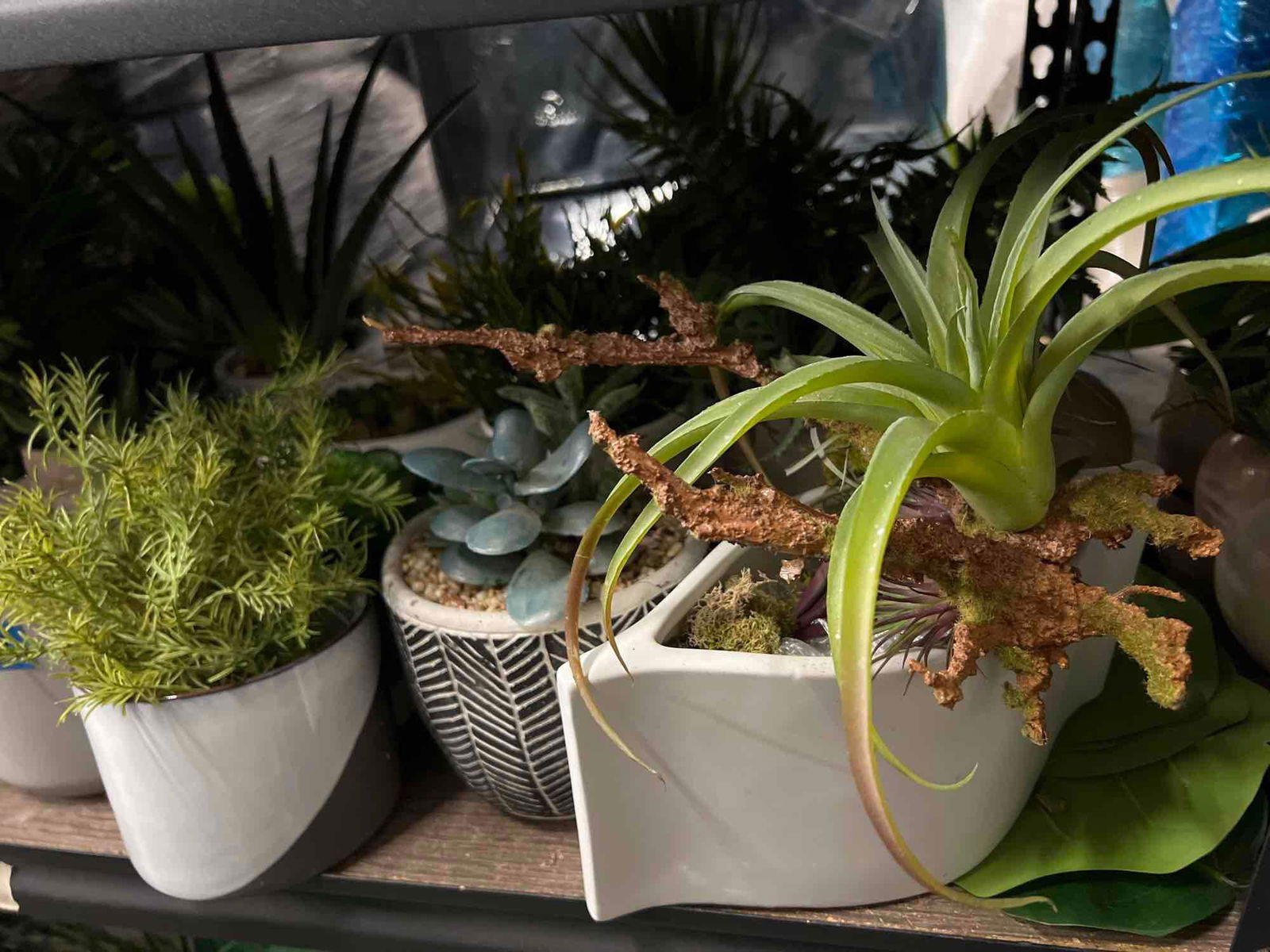Shelf medium planters, faux plants (1 of 4)