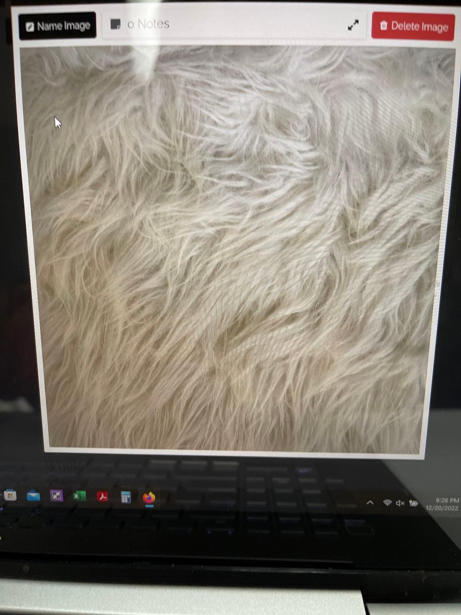 Name: Danso Shag Rug Nickname: White Fur Type: 5x8 Indoor Rug (1 of 3)