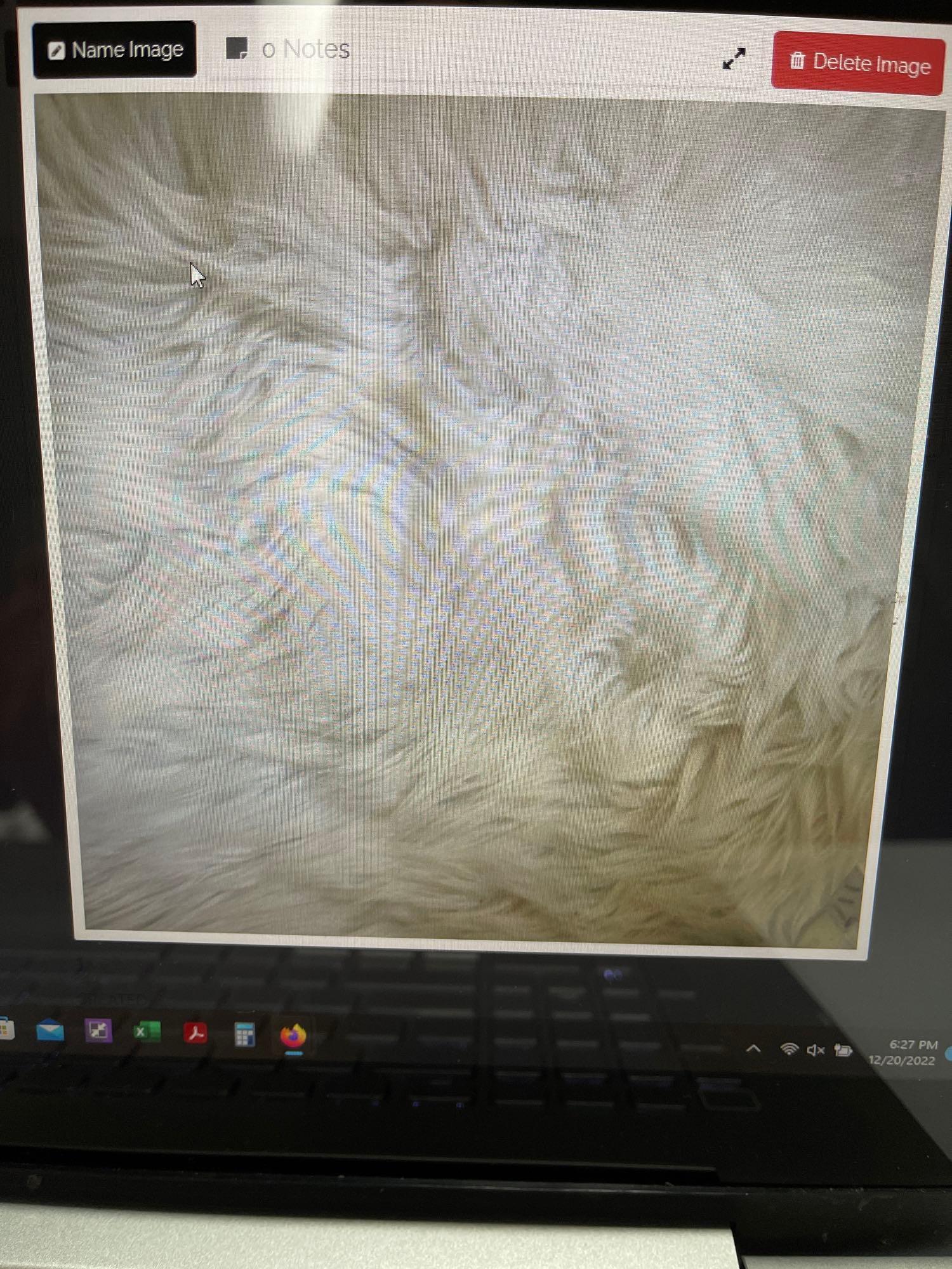 Nickname: Fur rug Type: 4x6 Indoor Rug Keywords; White fur rug, 4x6 (1 of 3)