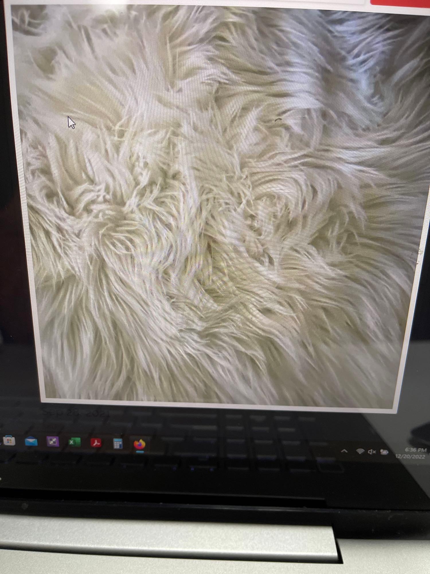 White fur rug Type: 4x6 Indoor Rug (1 of 2)