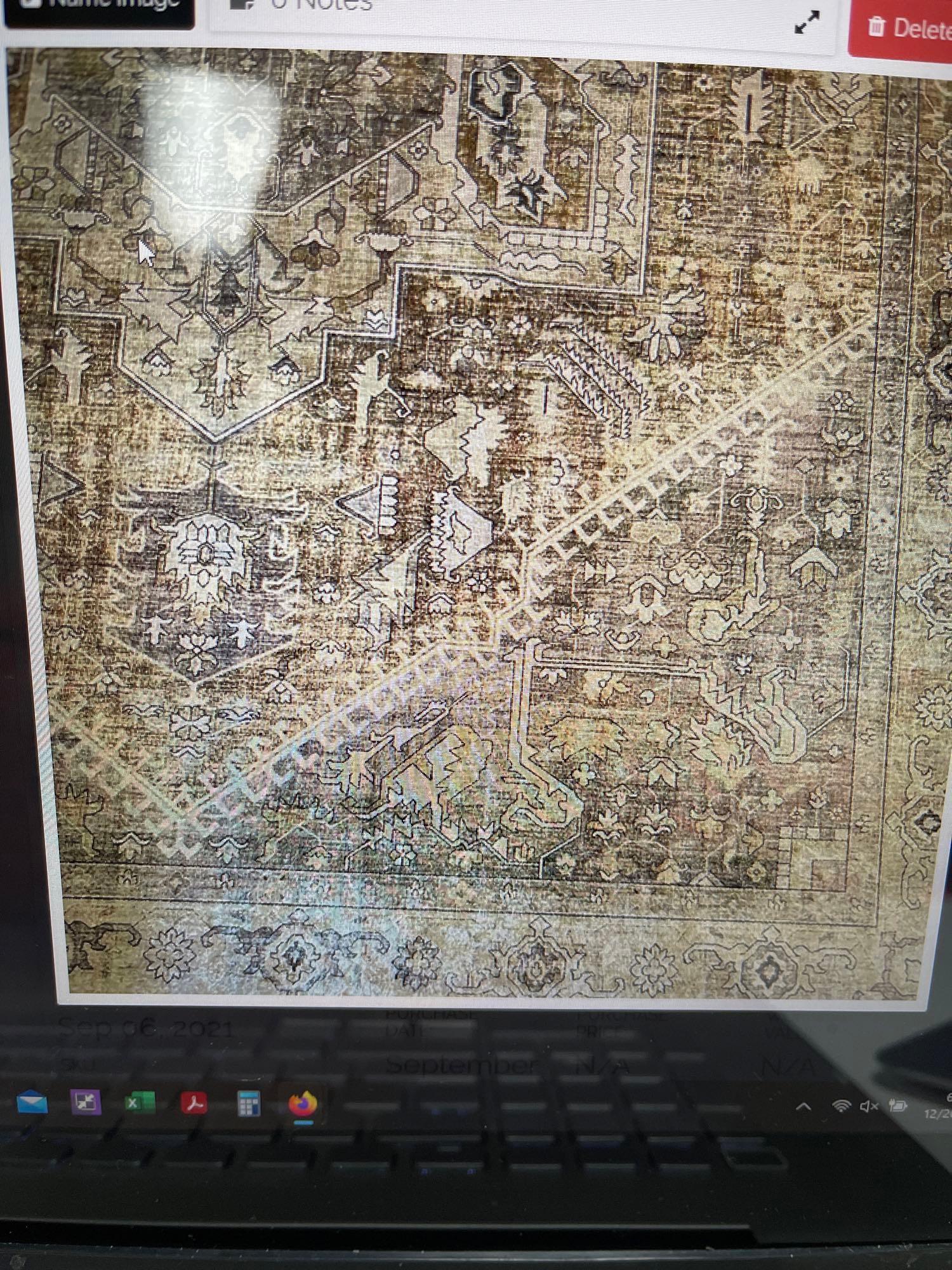 Golden Rug, Dalyn. 9x13 (1 of 2)